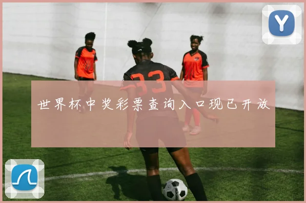 世界杯中奖彩票查询入口现已开放