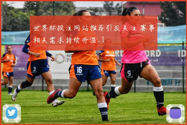 世界杯投注网站推荐引发关注 赛事相关需求持续升温_1