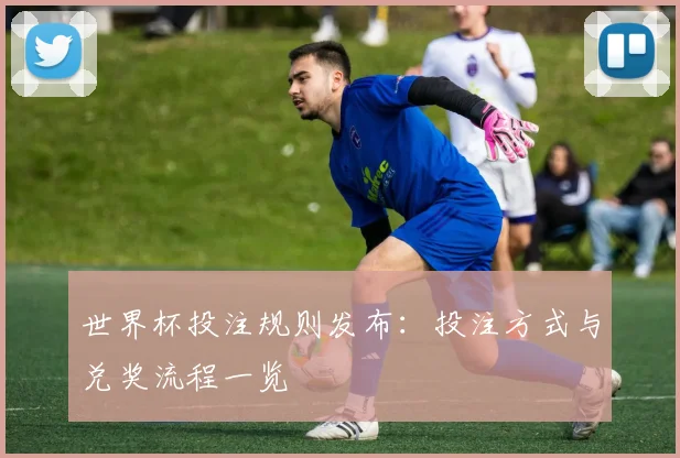 世界杯投注规则发布：投注方式与兑奖流程一览