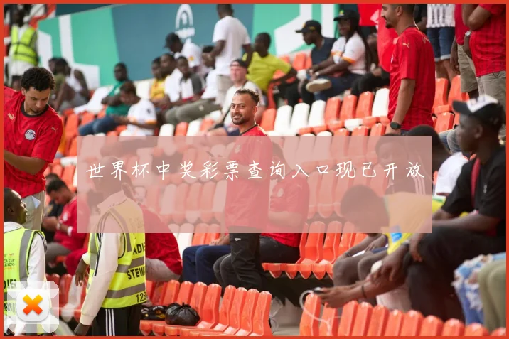 世界杯中奖彩票查询入口现已开放