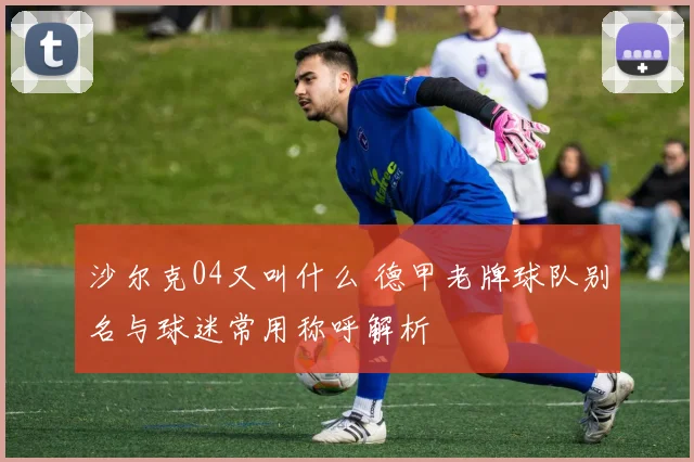 沙尔克04又叫什么 德甲老牌球队别名与球迷常用称呼解析