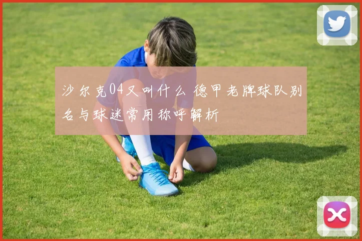 沙尔克04又叫什么 德甲老牌球队别名与球迷常用称呼解析