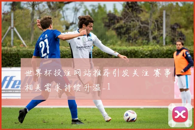 世界杯投注网站推荐引发关注 赛事相关需求持续升温_1