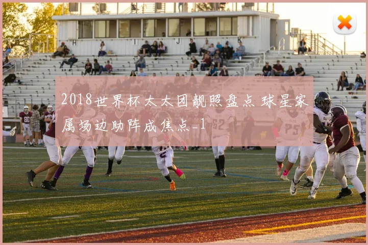 2018世界杯太太团靓照盘点 球星家属场边助阵成焦点_1