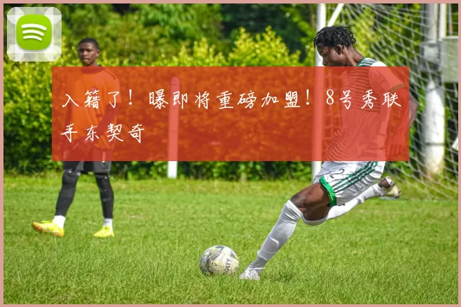 入籍了！曝即将重磅加盟！8号秀联手东契奇