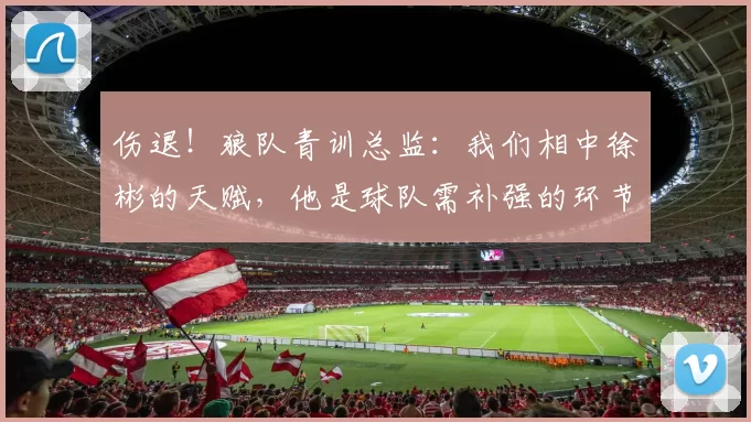 伤退！狼队青训总监：我们相中徐彬的天赋，他是球队需补强的环节