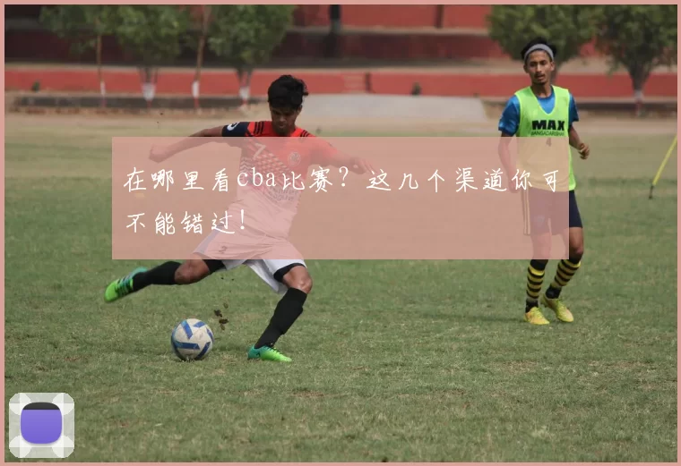 在哪里看cba比赛？这几个渠道你可不能错过！