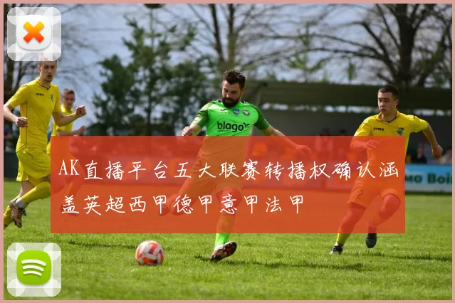 AK直播平台五大联赛转播权确认涵盖英超西甲德甲意甲法甲