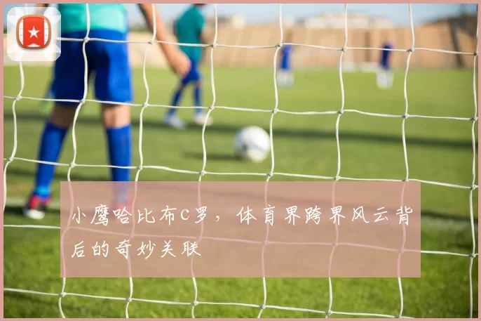 小鹰哈比布c罗，体育界跨界风云背后的奇妙关联